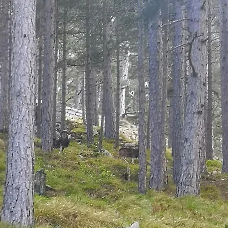 De Cannedda ホテル 3*