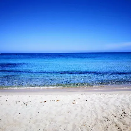 De Cannedda 3* サリ・ソランザラ