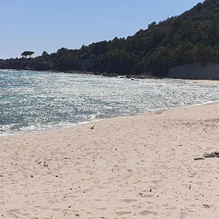 De Cannedda ساري سولينزارا