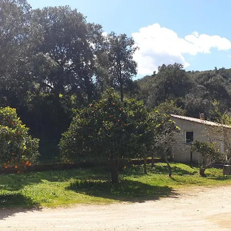 De Cannedda 3* ساري سولينزارا