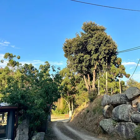 De Cannedda فندق 3*