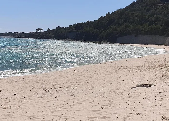 De Cannedda 萨里索伦札拉