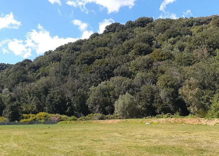 De Cannedda 酒店 3*