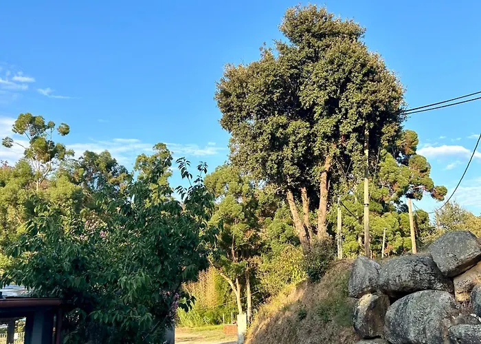 De Cannedda 酒店 3*