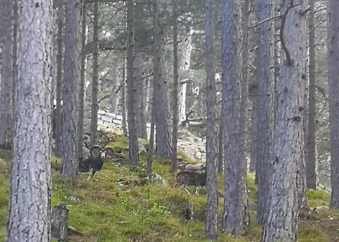 De Cannedda 酒店 3*